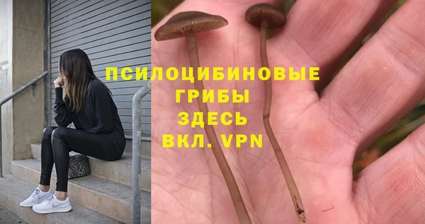 мяу мяу кристалл Арсеньев