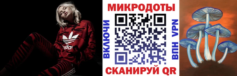 omg ONION Белокуриха Галлюциногенные грибы MAGIC MUSHROOMS