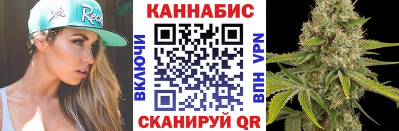 Бошки марихуана Amnesia  как найти   Белокуриха 